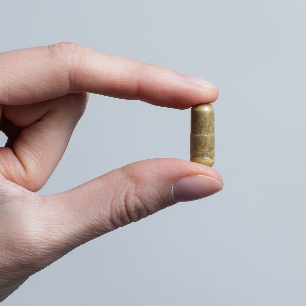 Ashwagandha, 500 mg, 90 kapslí – podporující odolnost proti stresu